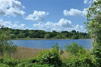 View of the mere